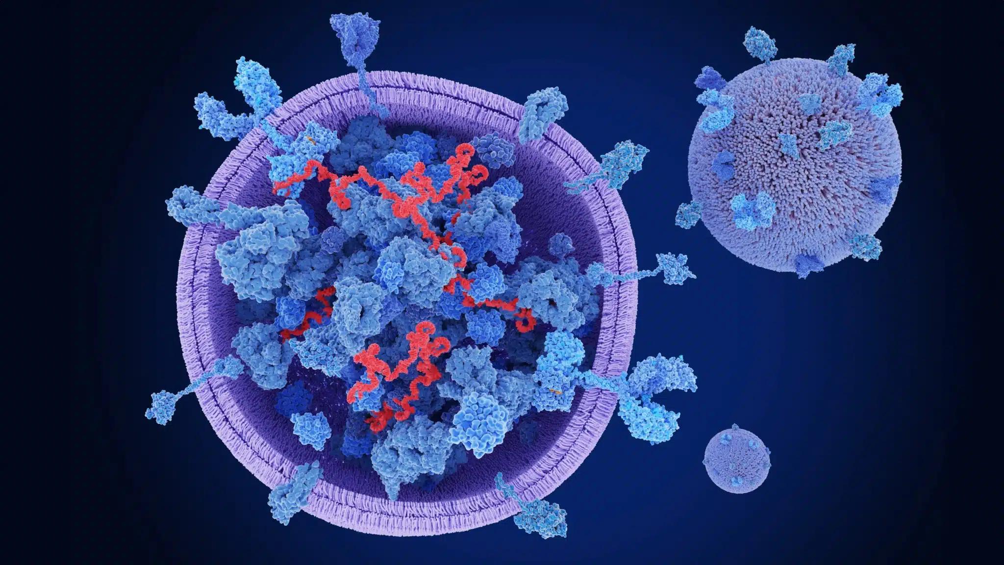 Exosomes and autism research: 3D illustration of an exosome carrying proteins and RNA between cells