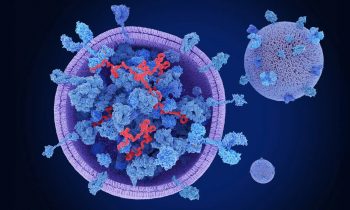 Exosomes and autism research: 3D illustration of an exosome carrying proteins and RNA between cells